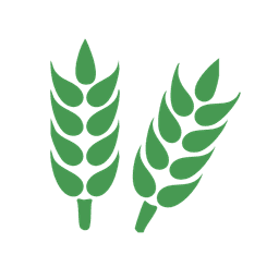 Area under foodgrains